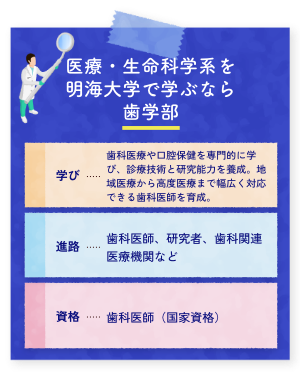 明海大学で学ぶなら
