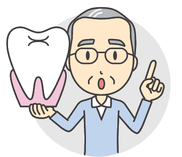 歯のイラスト